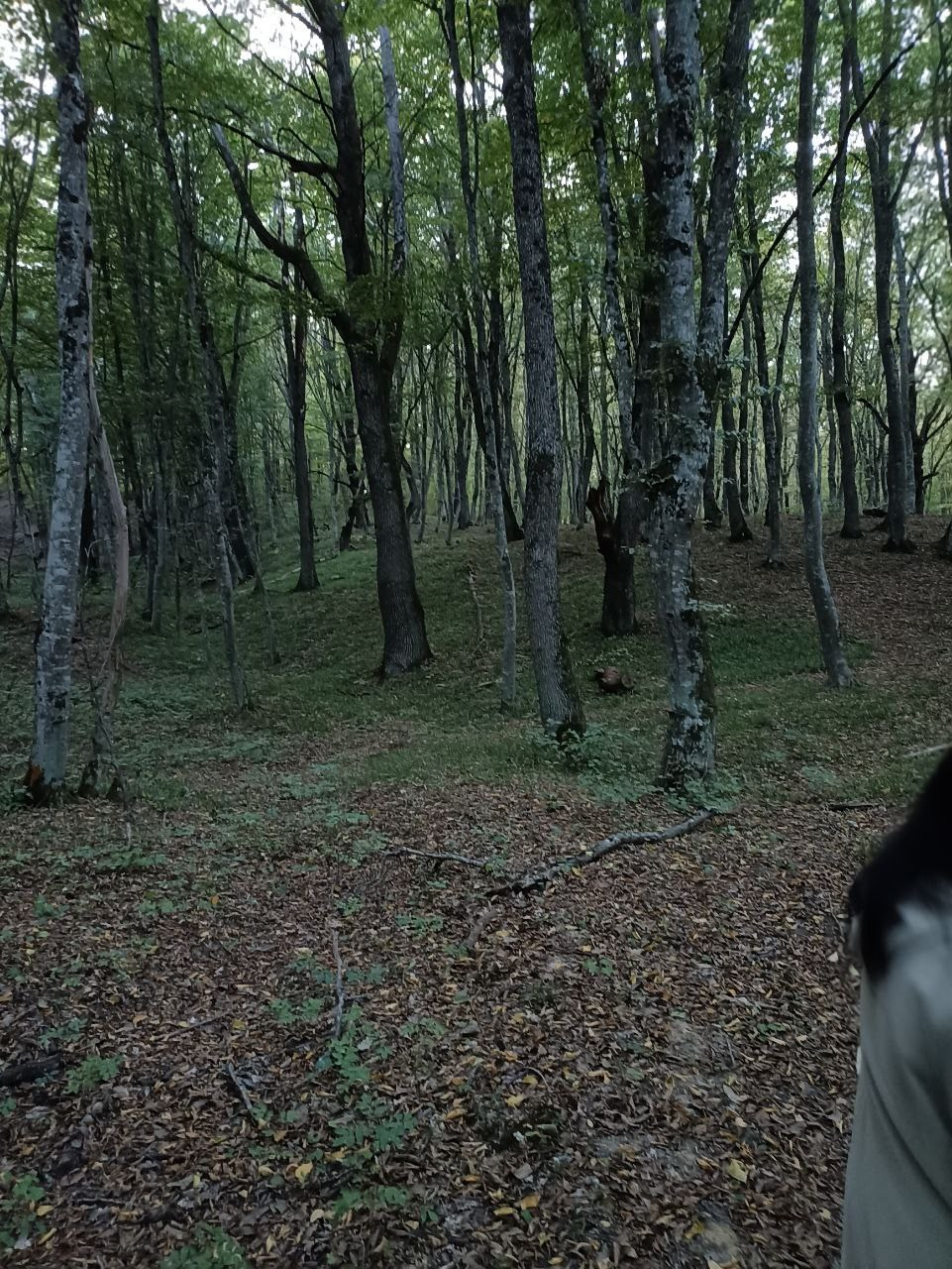 Горячий Ключ (2024-09-20). Собор Отрасли