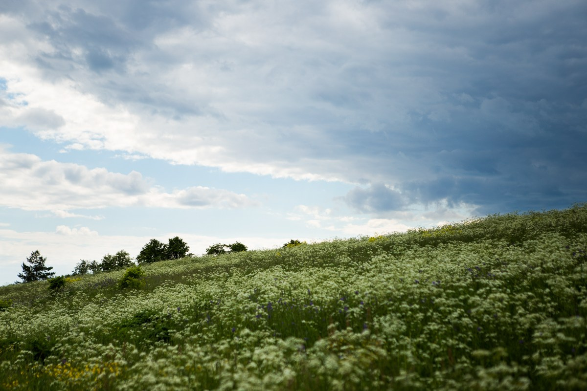 Kizhi. Фотограф Евгения Добротворская