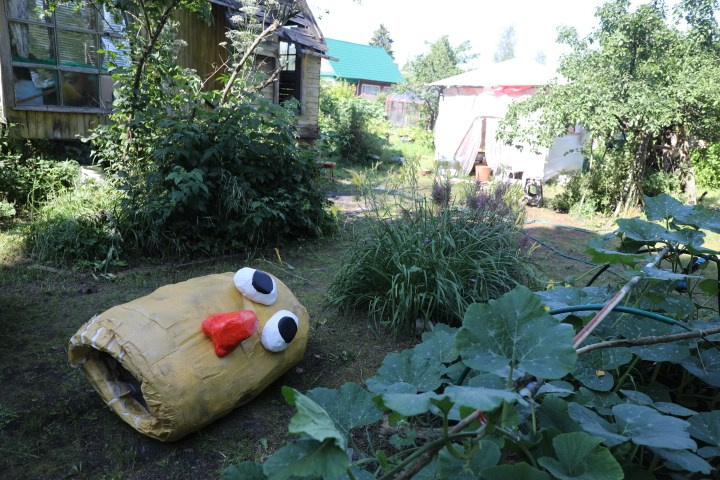 Окартофливание. Портретный фотограф Ванинен Анастасия. Санкт-Петербург