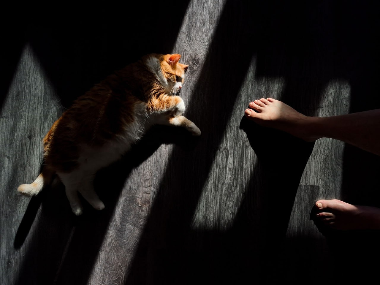 ТОП 20 лучших кадров марта 2026. Репортажный фотограф в Сочи — Михаил Мордасов