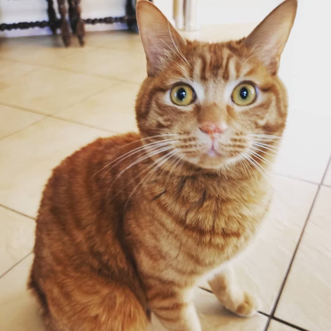 Anka`s Instagram. Заставка