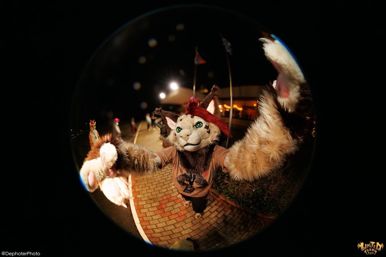 United Furry Convention 2026. Различные мероприятия и просто фотографии людей