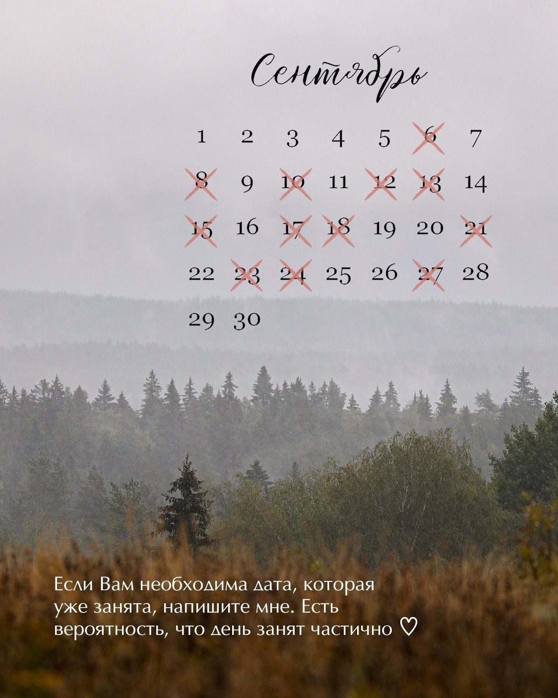 Фотограф новорожденных спб Питер