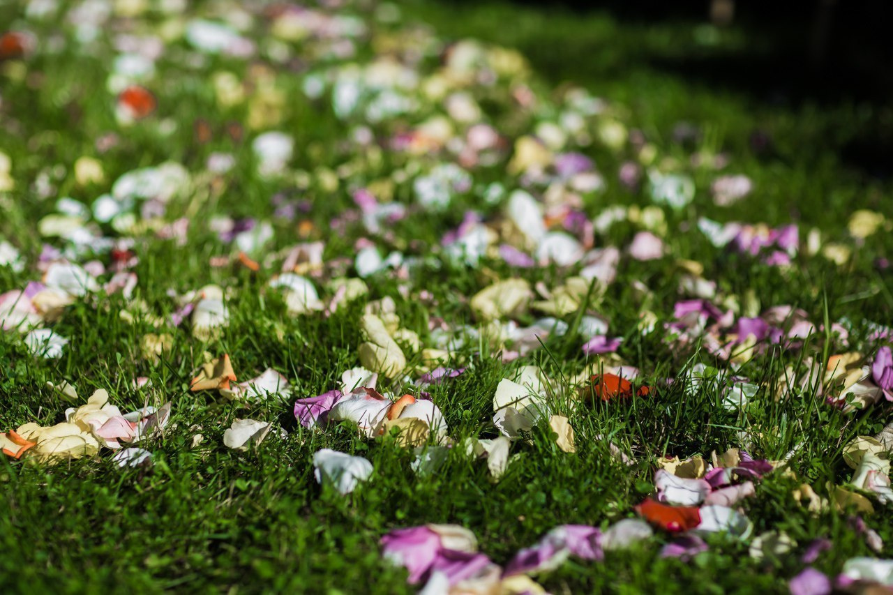 Свадьба в Президент-отеле в Зеленогорске. Семейный фотограф в Санкт-Петербурге Анна Аверина