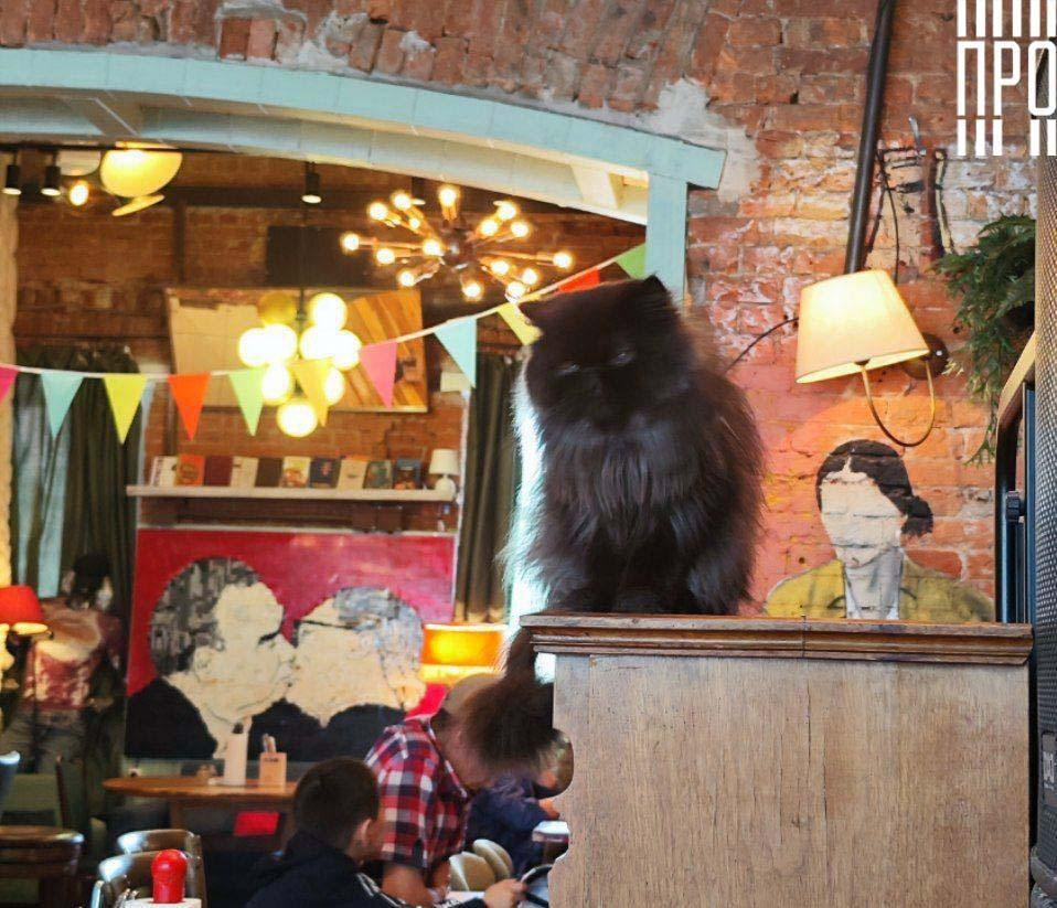 Публикации фотографий. Колентеева Наталья/фотограф