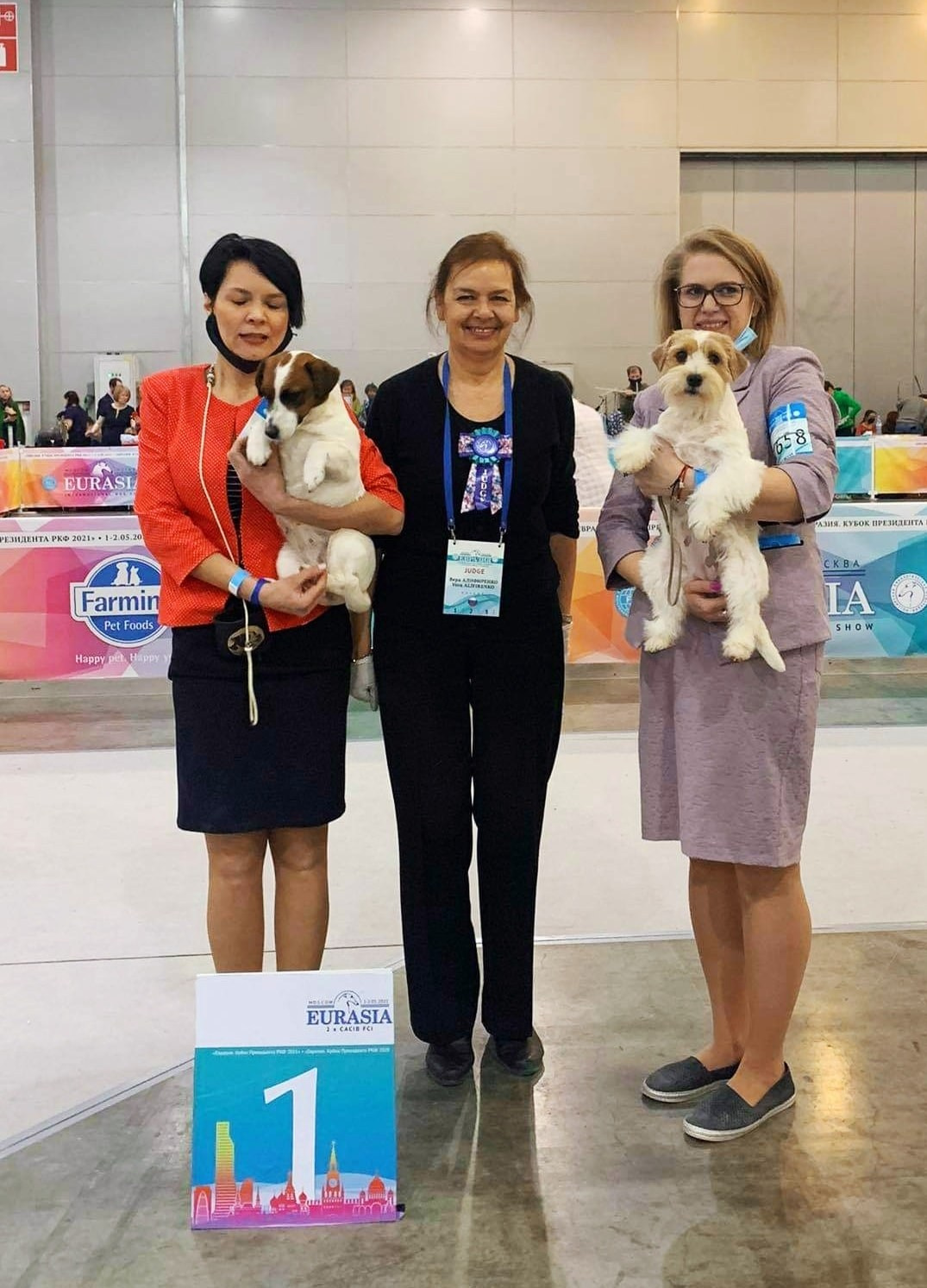 CANE MAESTRO ILANG-ILANG. CANE MAESTRO — kennel Jack Russell Terrier