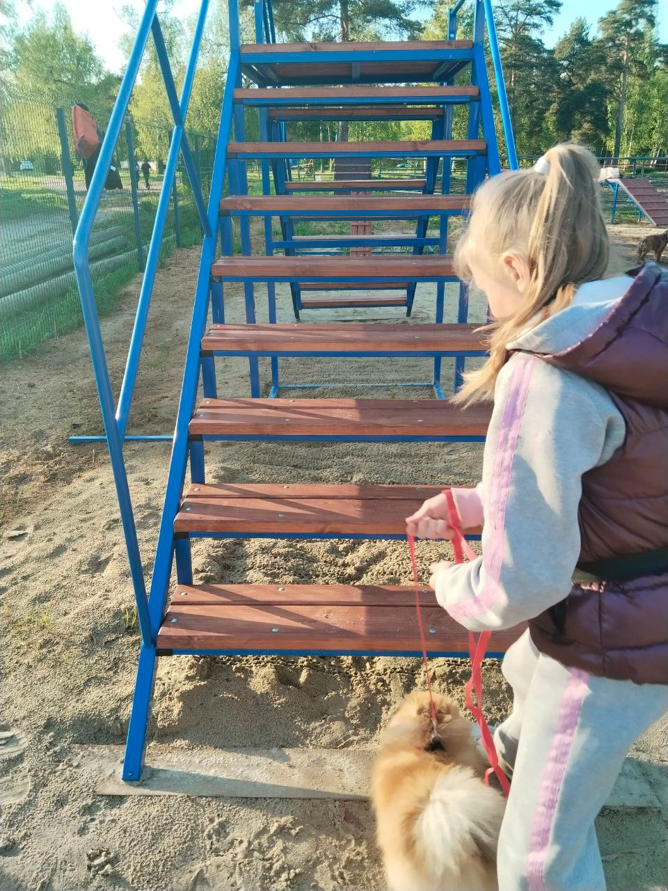 Практические занятия по дрессировке. НРОО КЦ "Собаковод"