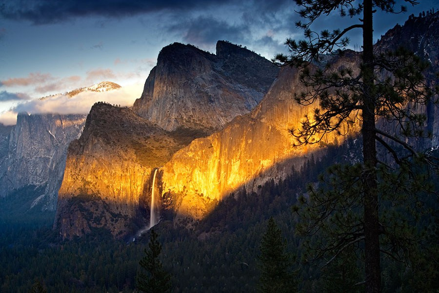 фотография Арта Вульфа с повторяющимися формами и природными паттернами