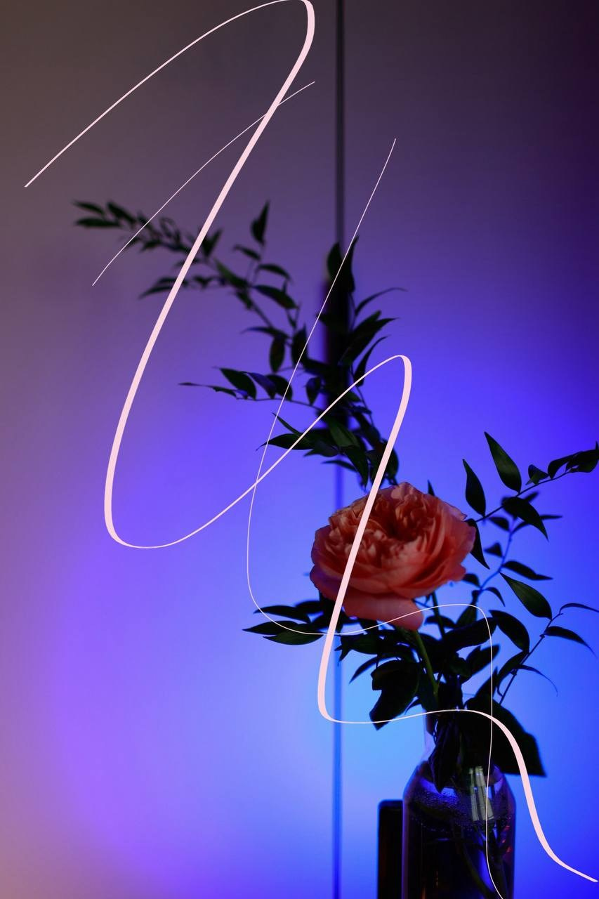 Картинки с каракулями. Саша Кушнерова Фотографии. Sasha Kushnerova Photos