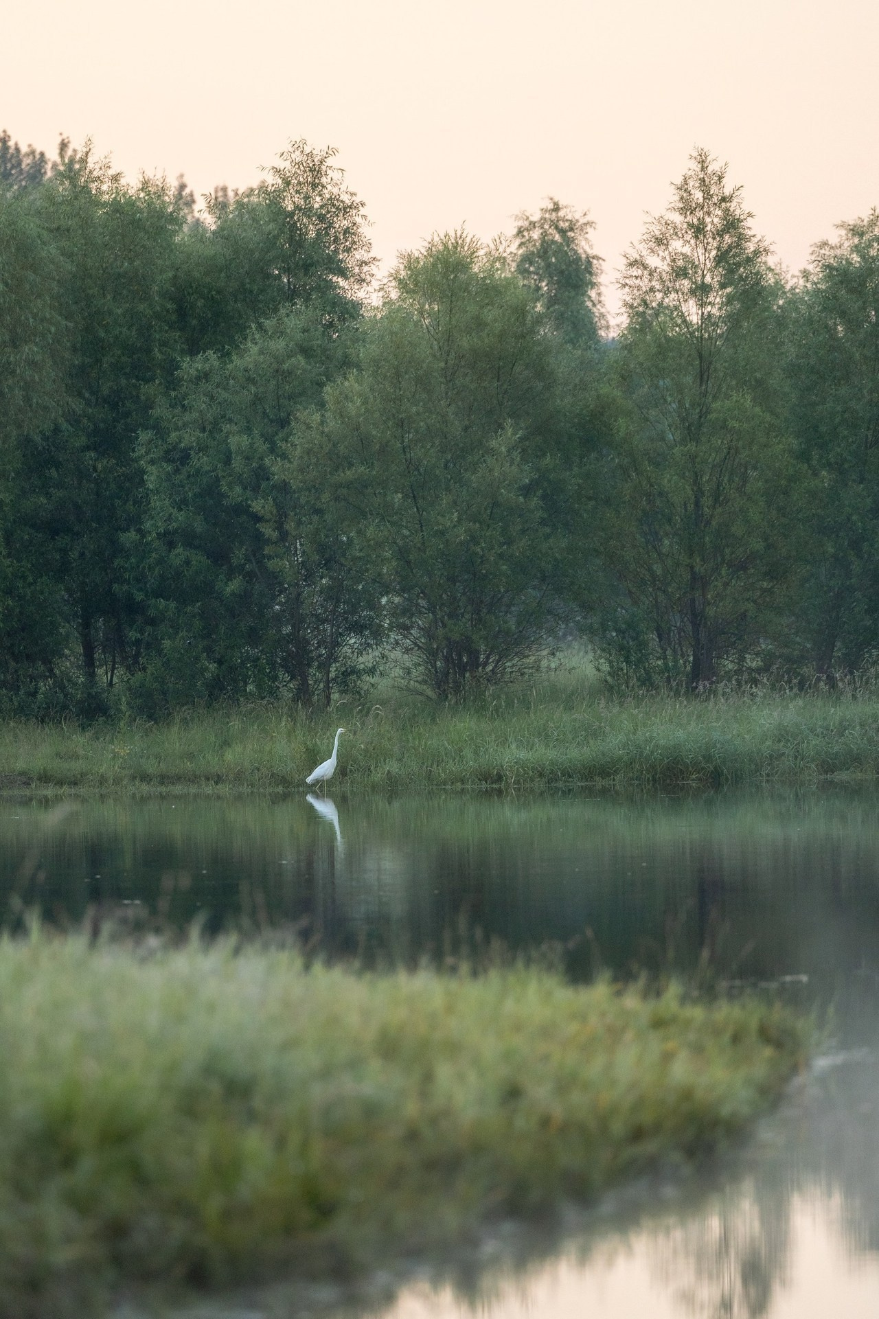 Отзывы. Фотограф-анималист Юлия Удовенко