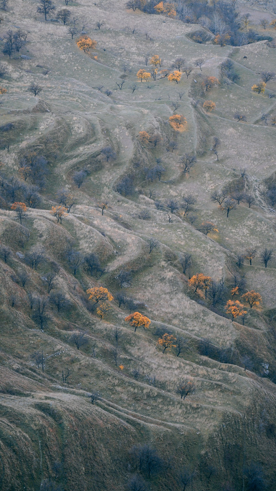 Дагестан 2023. Человек с фотокамерой