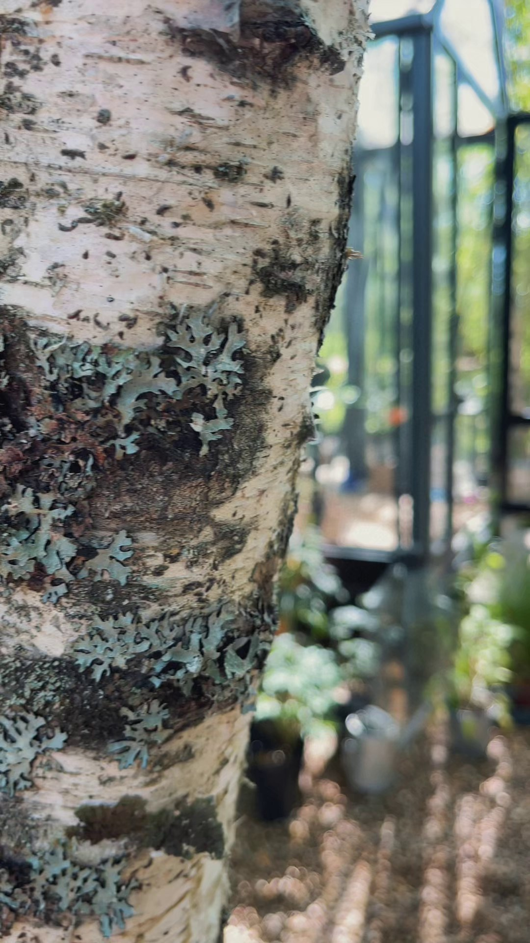 Видеомонтаж. Семейный фотограф Москва и Домодедово Ольга Игнатова