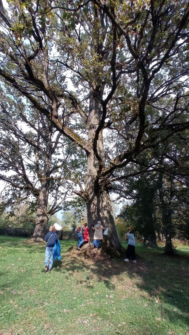 Вязьма. Экскурсионная поездка | 28.09.2024. Галерея Фантим