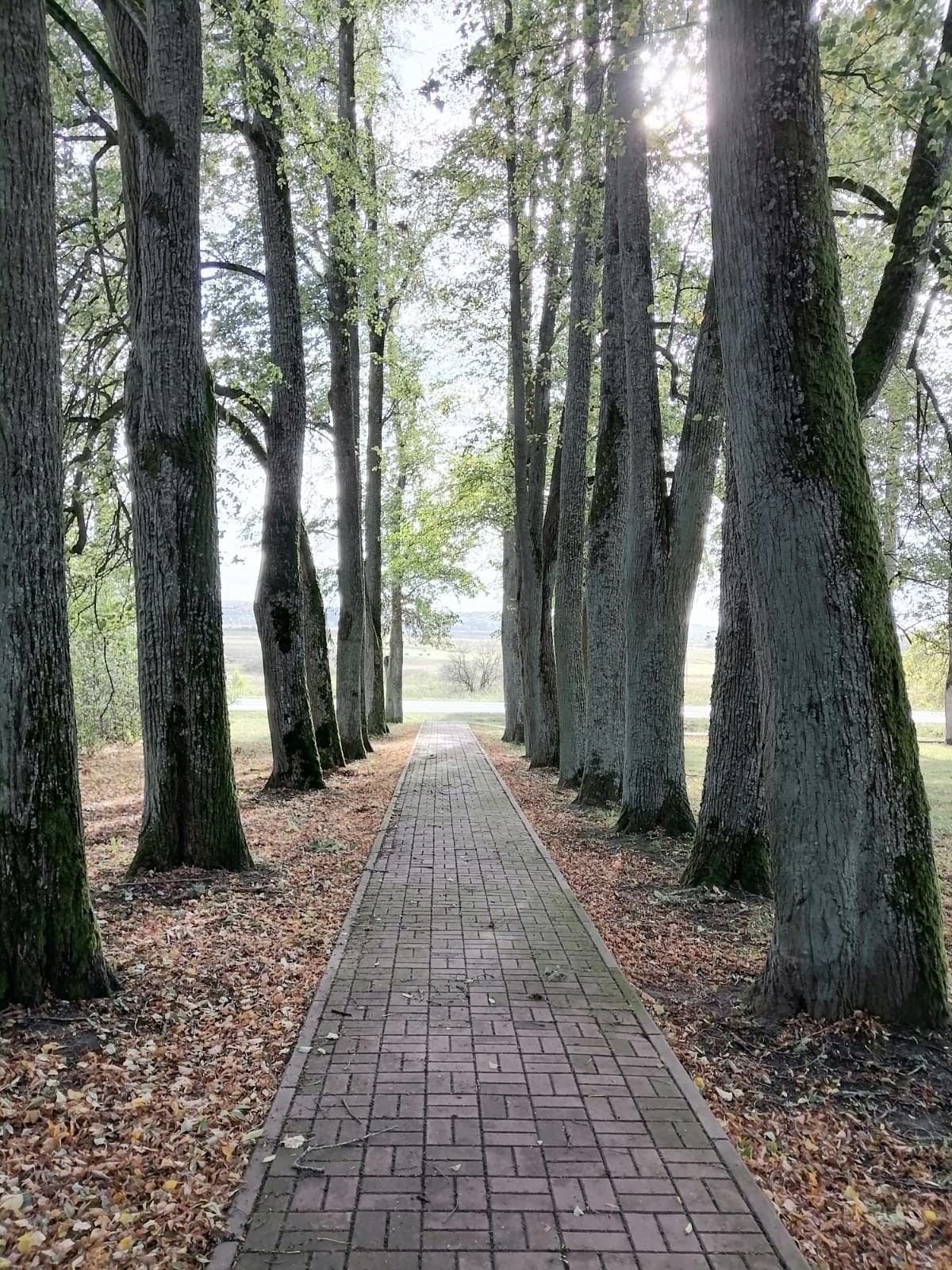 Калининград | 05-08.10.2023. Галерея Фантим