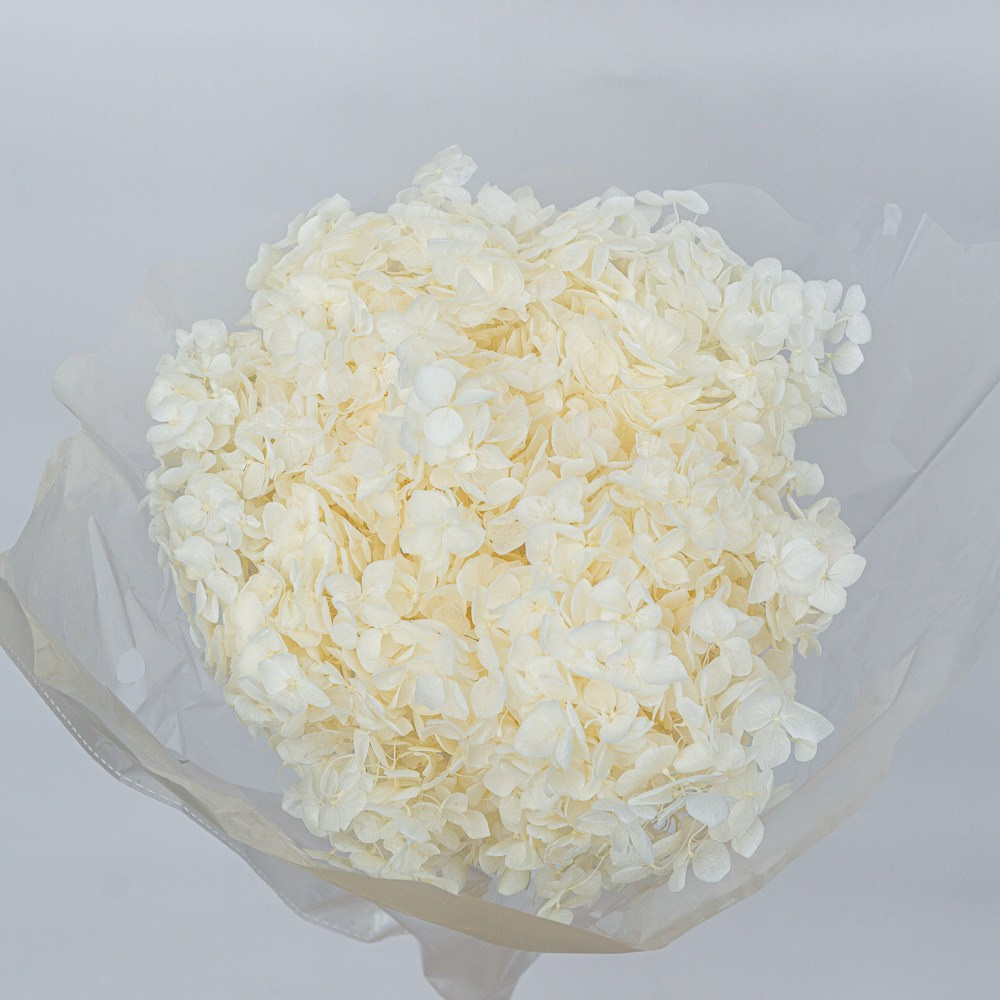 Сухоцветы. Фотограф в Екатеринбурге Яна Круташова