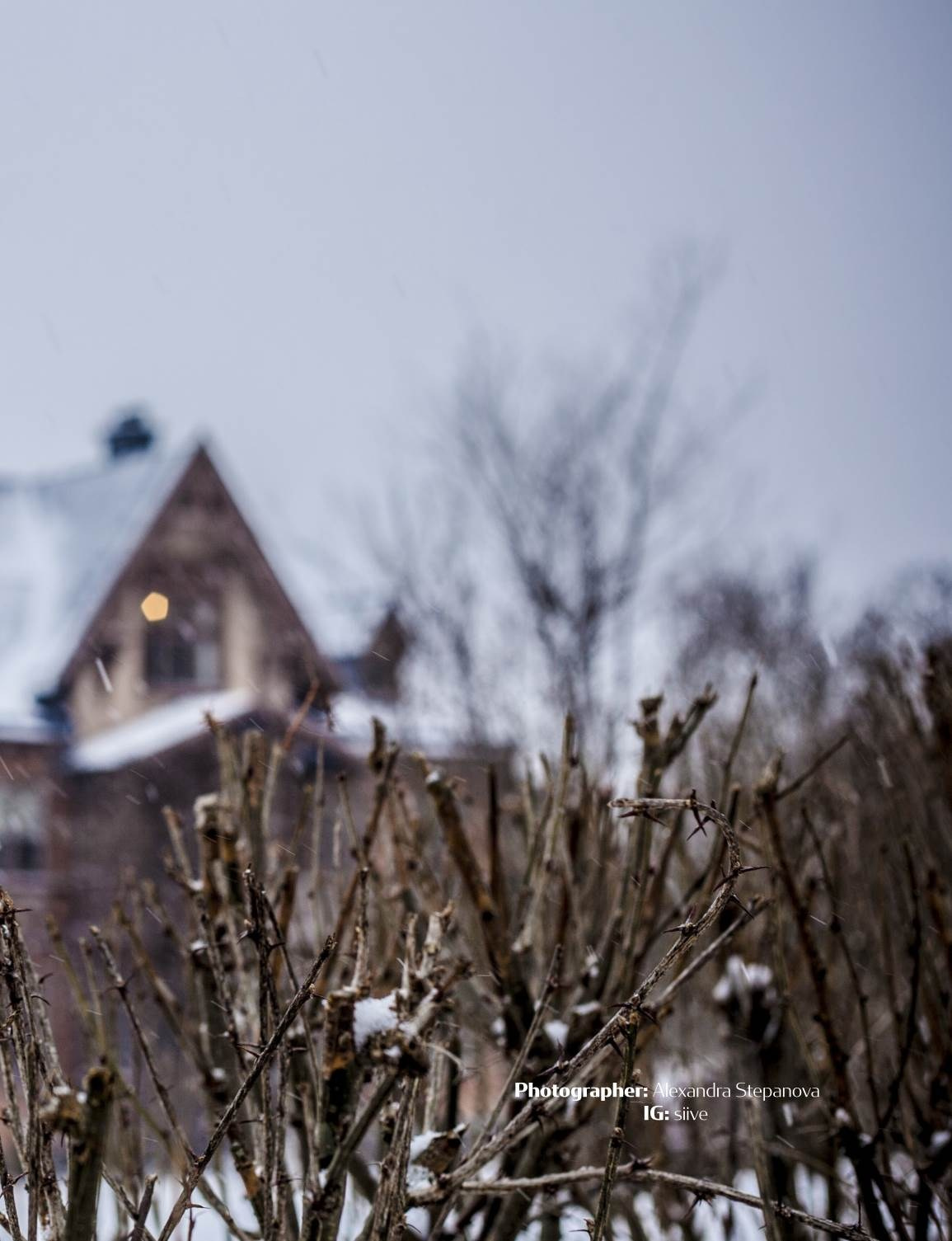 Good Jinx. Фотограф Александра Степанова