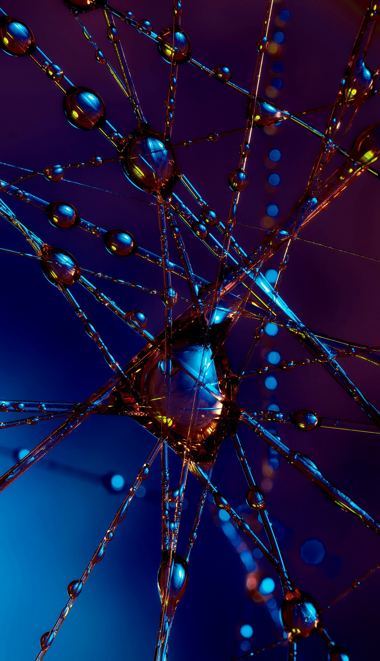 Необычные фото. Макс По — фото и видео съемки любого формата