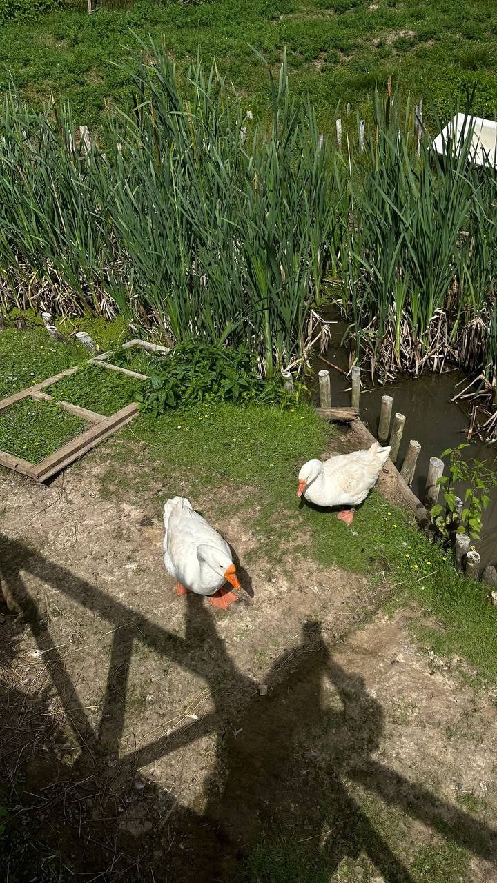 База отдыха. Фотограф в Нижнем Новгороде Лена Бирди