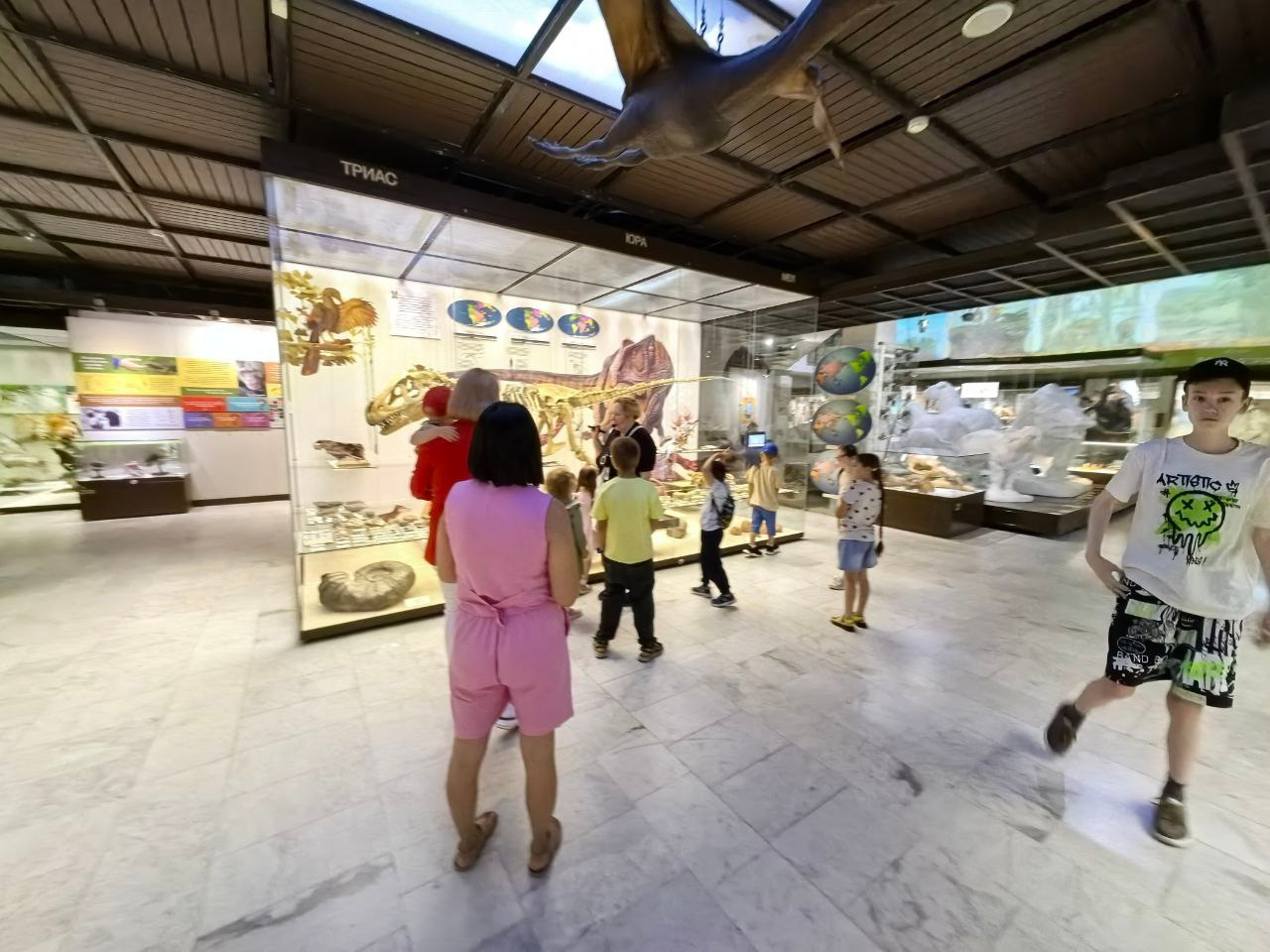 Дарвиновский музей г. Москва экологические приключения. АНО «Центра социальных проектов «Путь в большой мир»