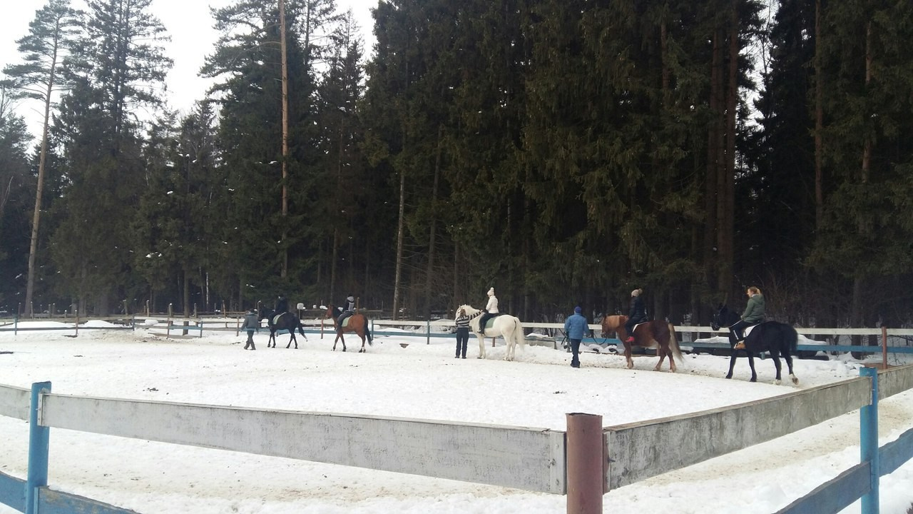 Активные выходные |18-19.02.2017. Галерея Фантим