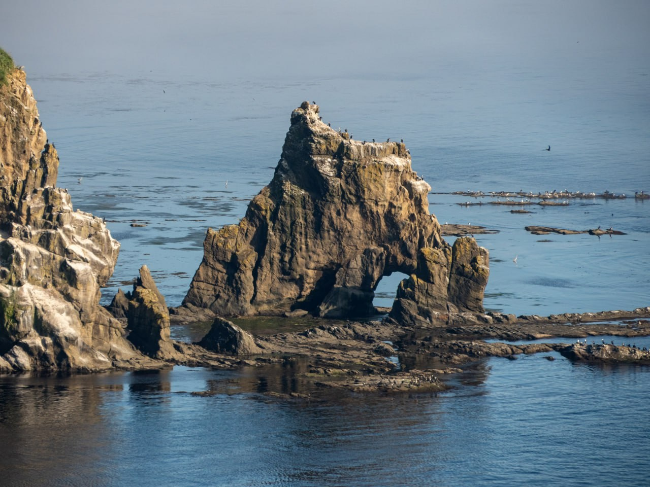 Сахалин. Фотограф Александр Головин