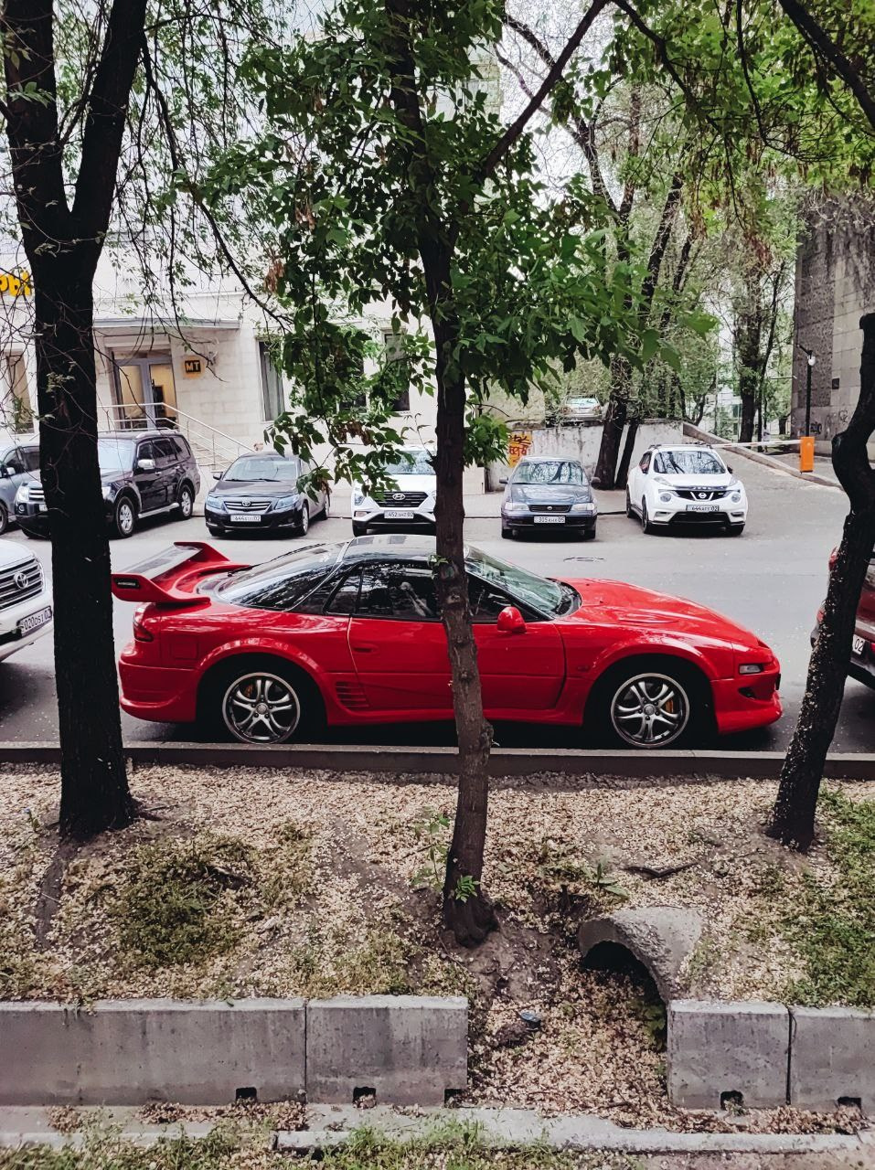 Намобилкус казахский. Репортажный фотограф Алексей Пирязев