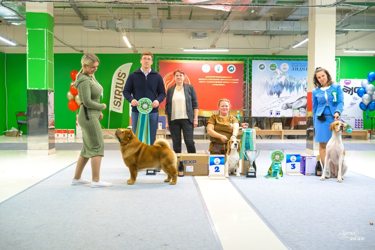 Отзывы. Фотограф анималист Елена Галдина г. Красноярск