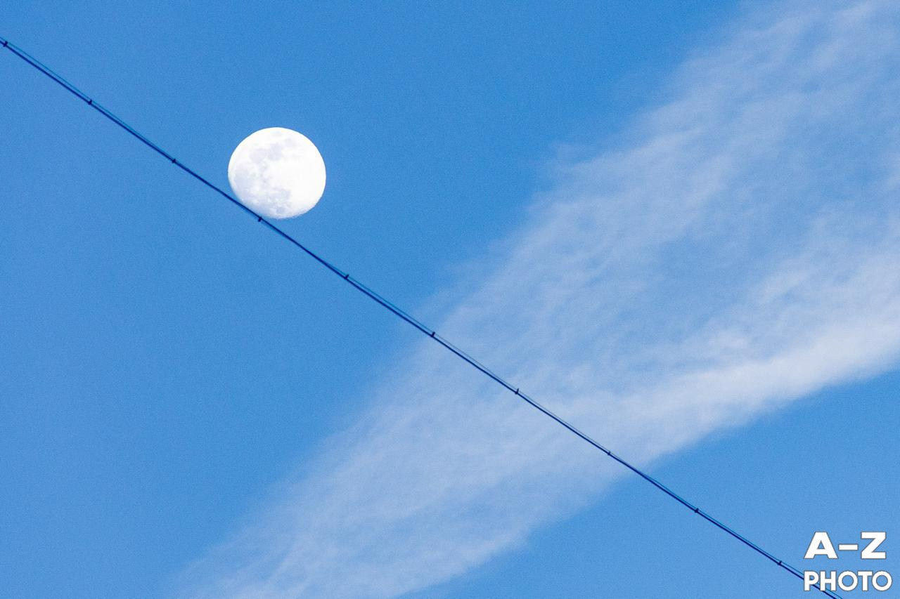 #ФОТОНЕДЕЛИ 02.02.2026. Женский семейный фотограф Тула Москва Захарова Анна