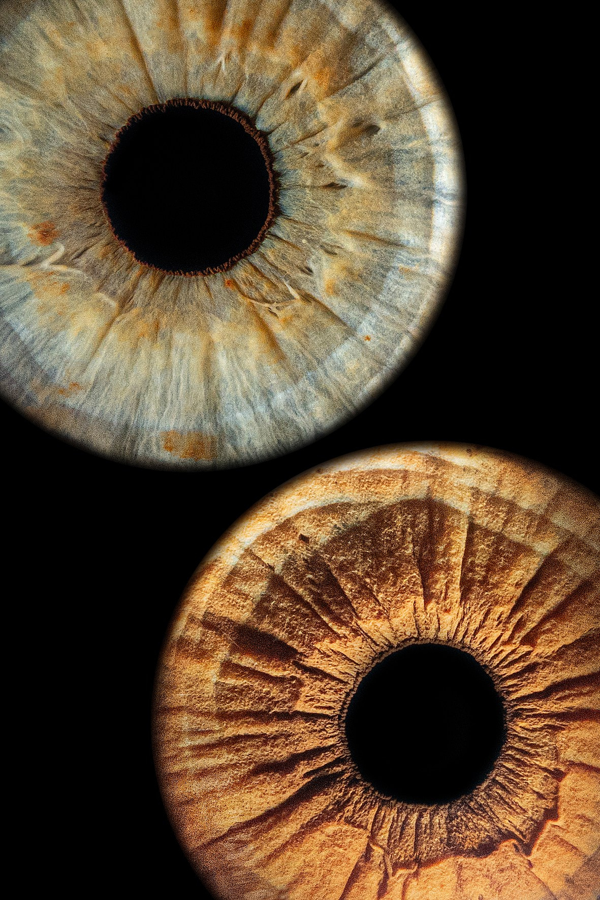 Примеры работ. Мой глаз