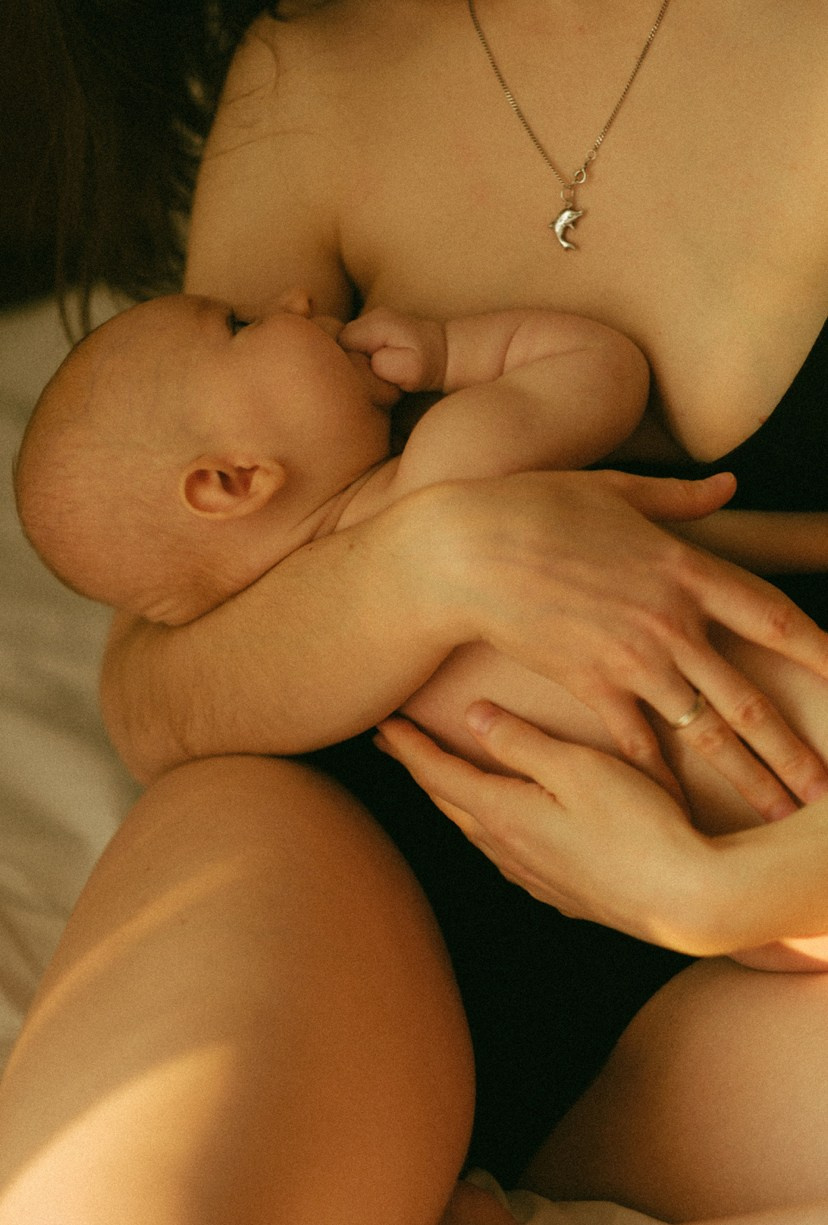 Family. Главная