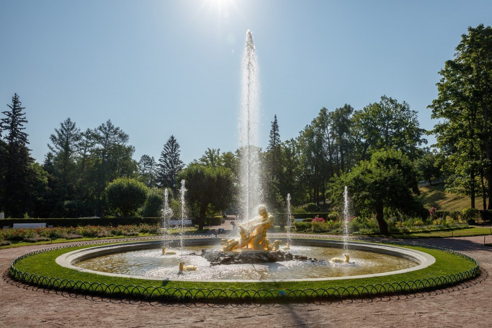 Локации в Петергофе