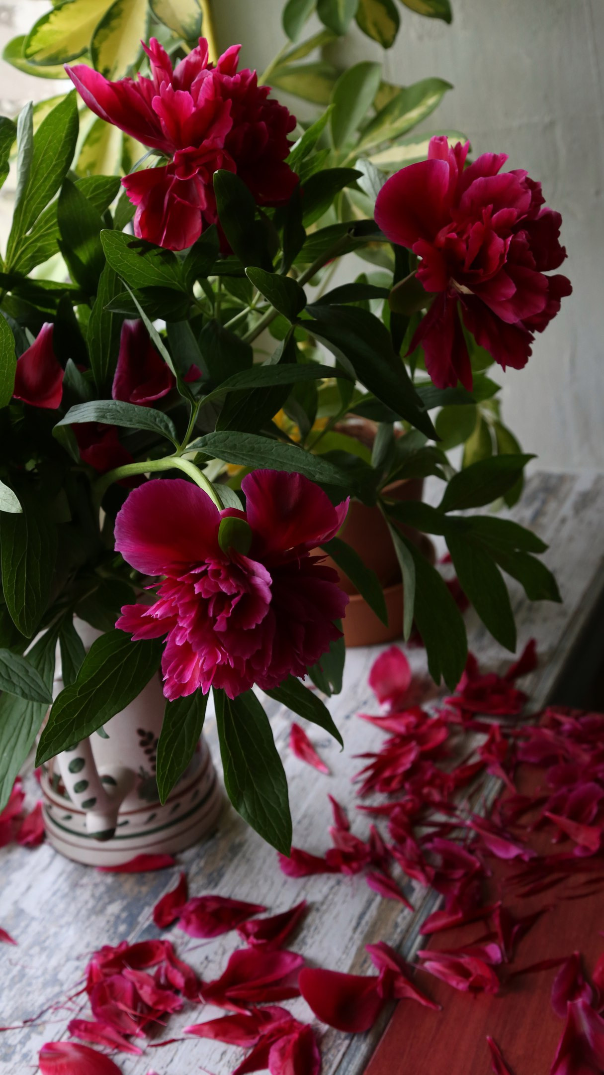 Натюрморт. Фотохудожник Евгения Баженова