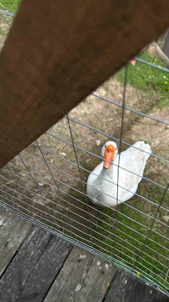 База отдыха. Фотограф в Нижнем Новгороде Лена Бирди