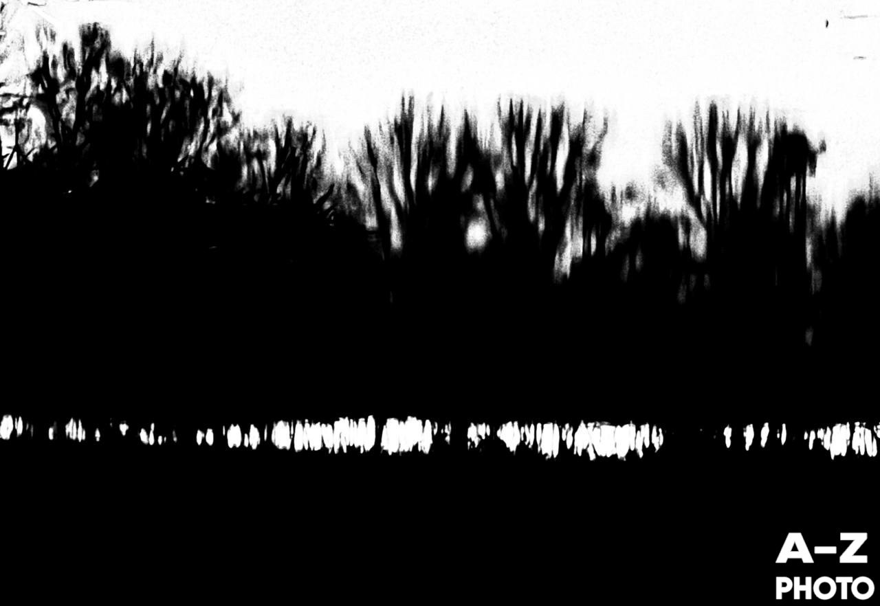 #ФОТОНЕДЕЛИ 08.12.2025. Женский семейный фотограф Тула Москва Захарова Анна