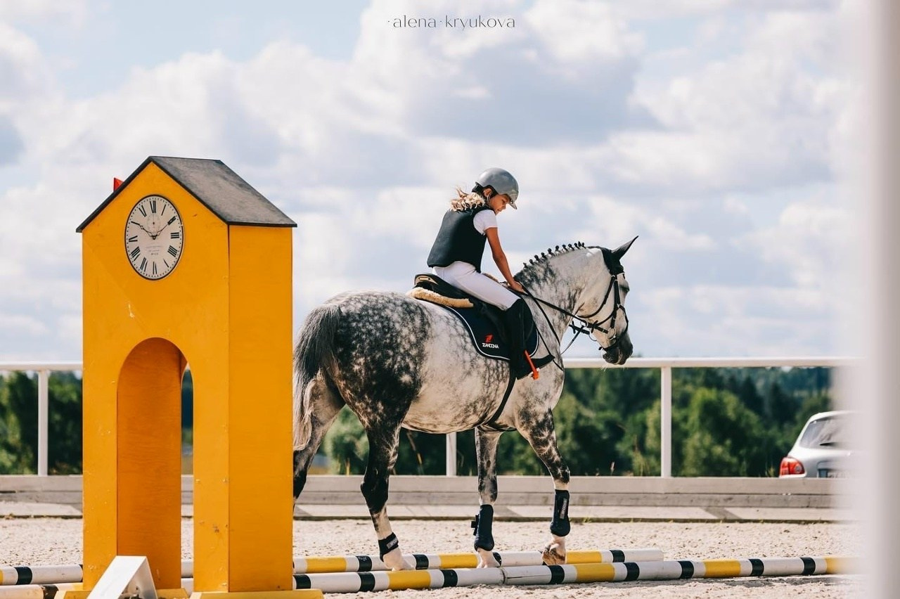 Летние соревнования. Фотосессии с лошадьми
