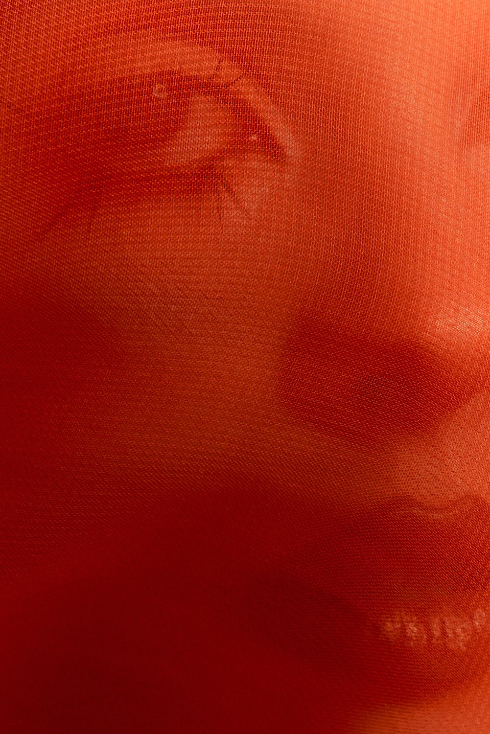 Angelina Pahomova for Ok Mag x Okko'23. Vasiliy Shvetsov