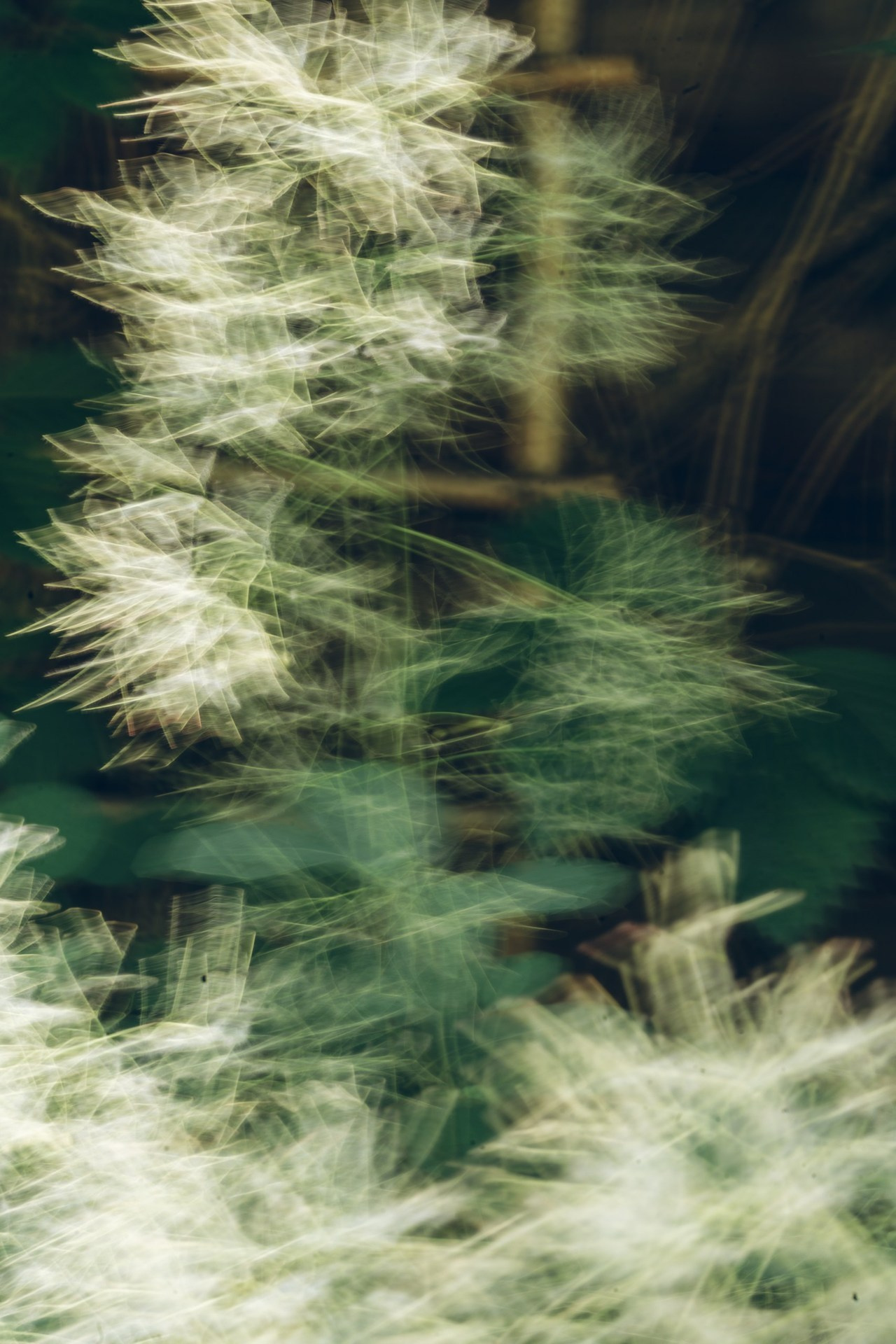 Отзывы. Ольга Гагуа. Портретный фотограф. Москва