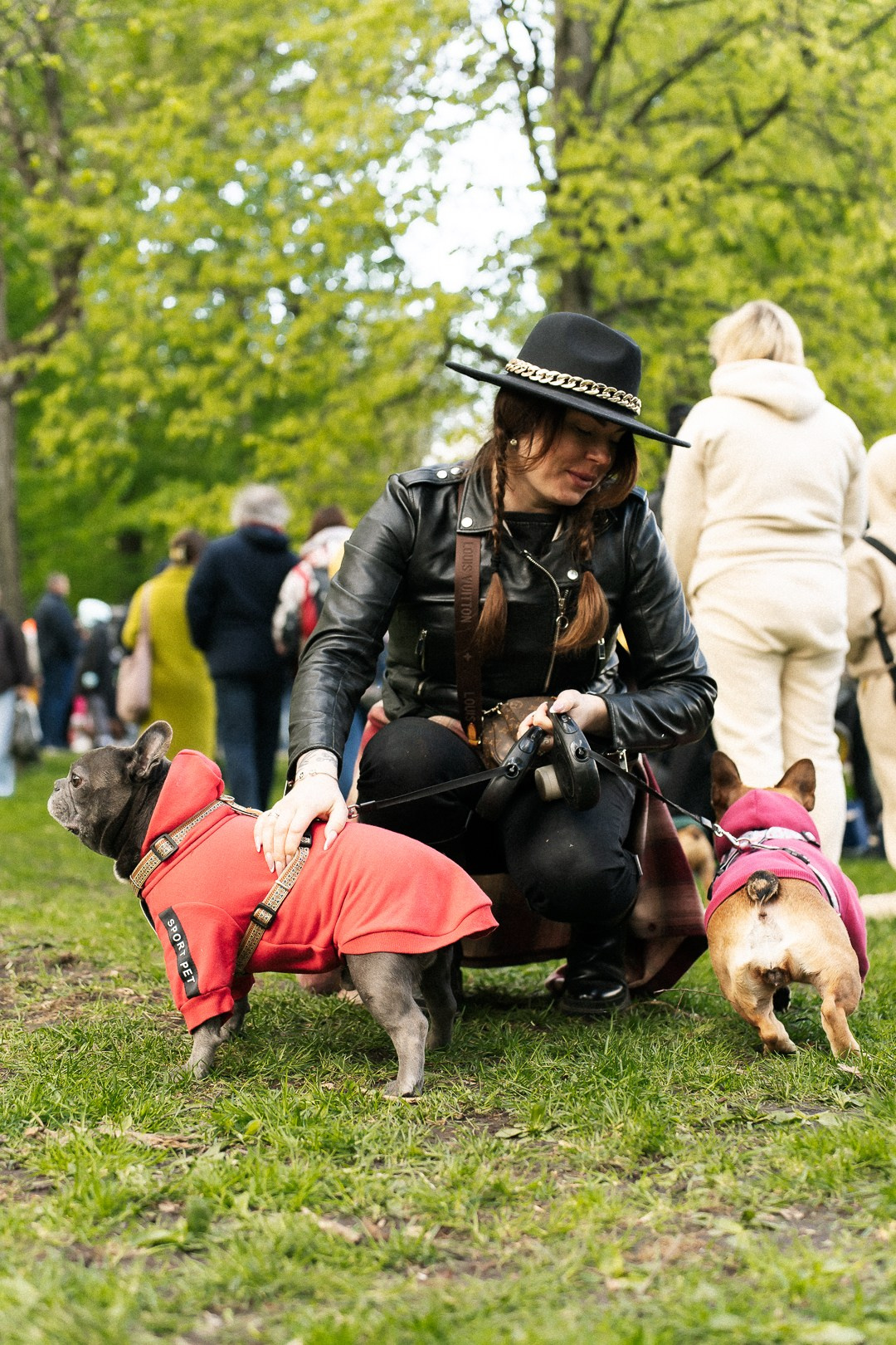 Парад Бульдогов. Axenov_eugene