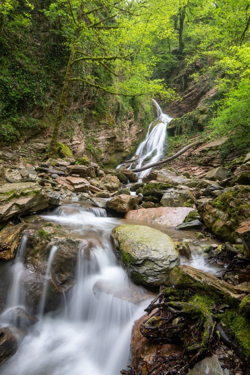 Верхнеажекский ручей, Природа, Алексей Касаткин, Москва