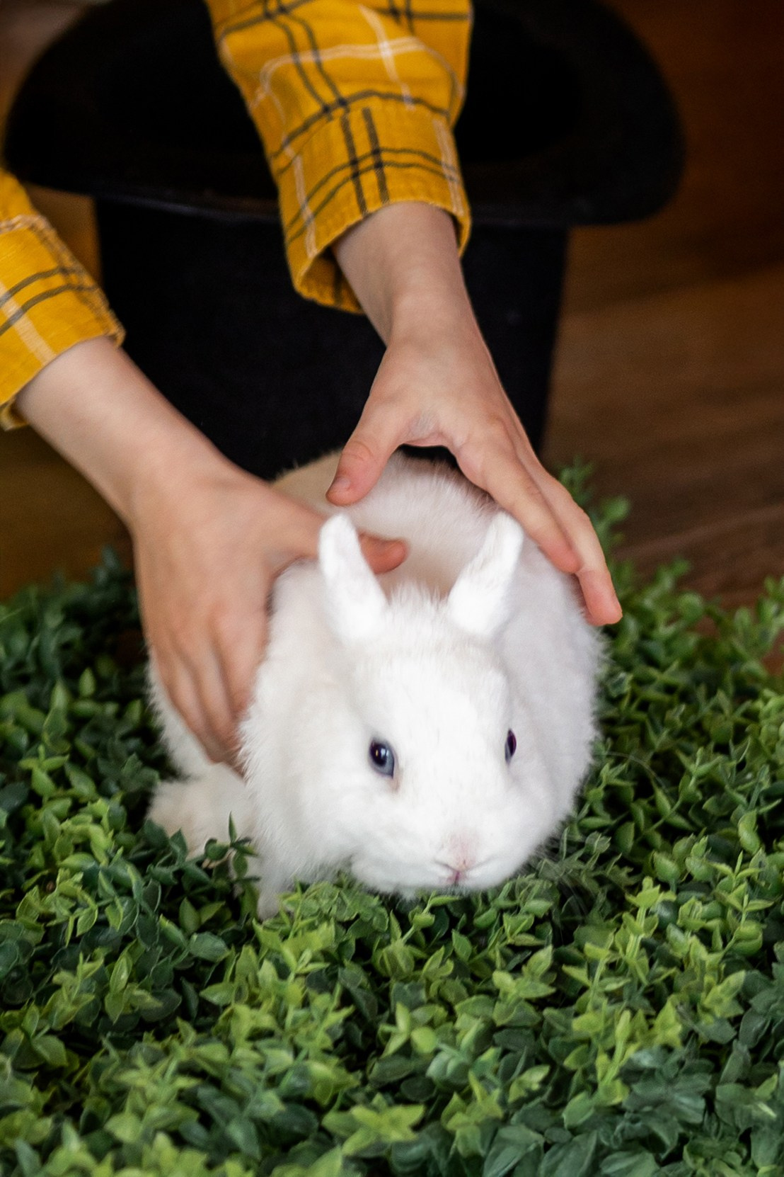 Денис к Пасхе. Семейный и женский фотограф в Ростове-на-Дону Екатерина Фитисова
