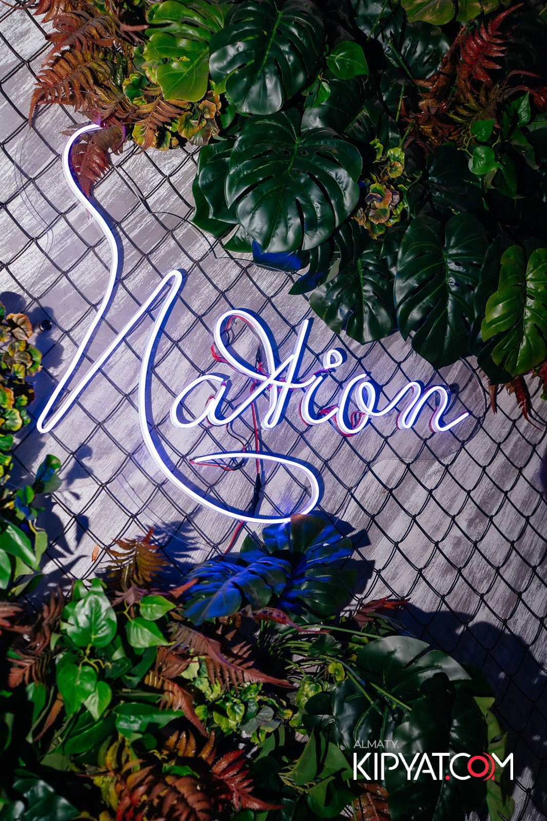 ДОРОГАЯ, Я НЕ ПИЛ. КИПЯТКОМ АЛМАТЫ!