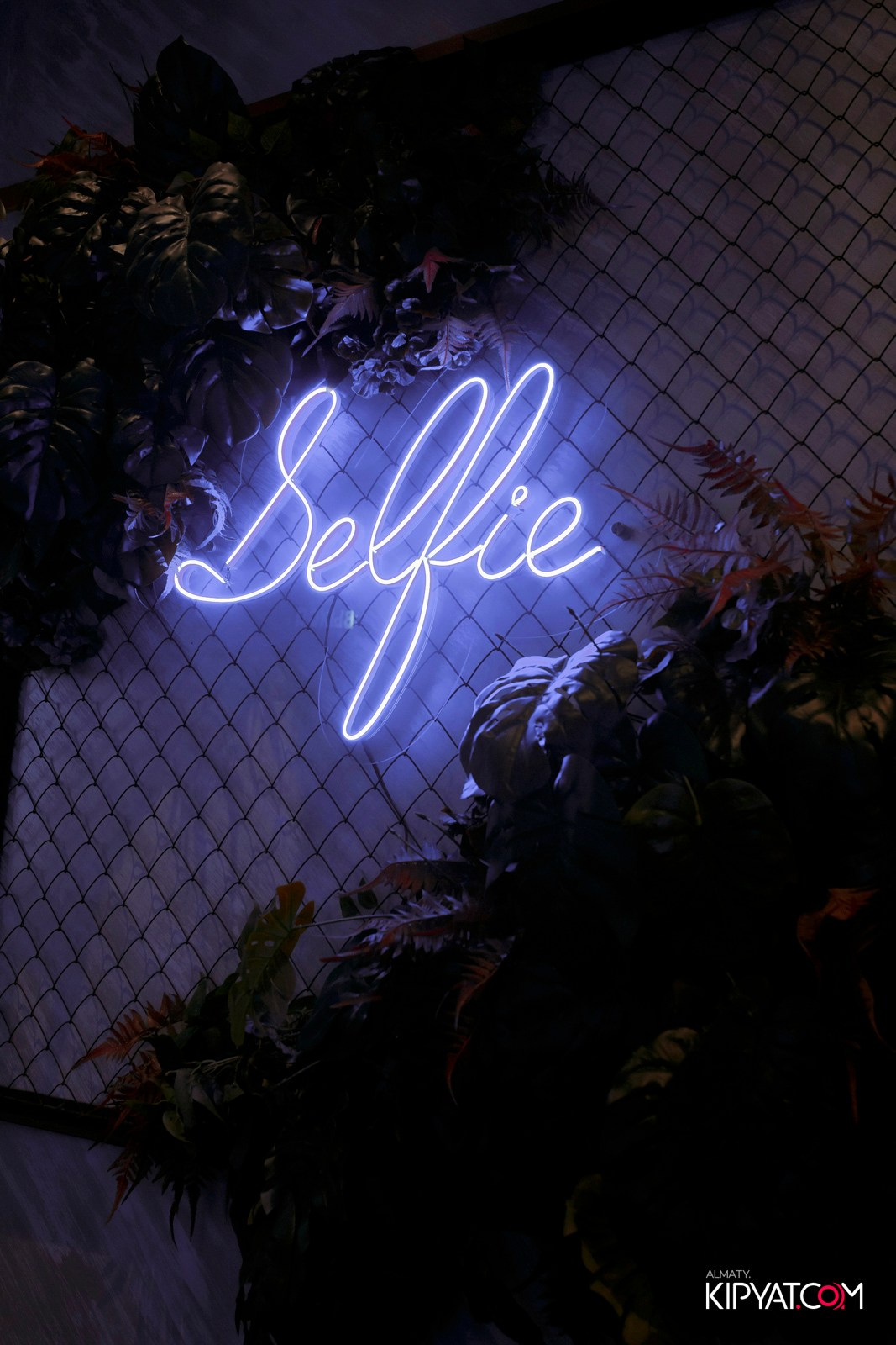 ДОРОГАЯ, Я НЕ ПИЛ. КИПЯТКОМ АЛМАТЫ!