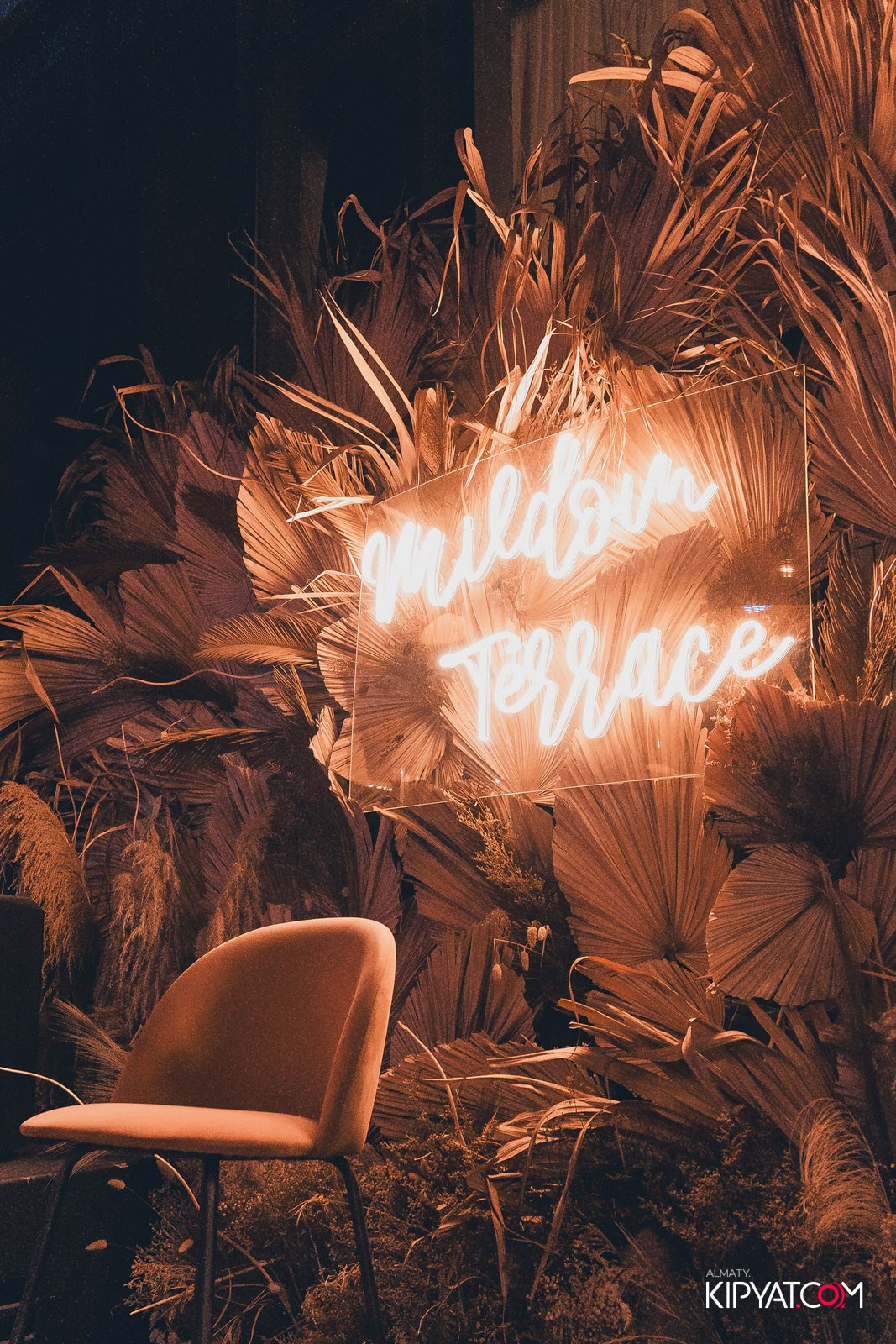 BBQ PARTY B MILDOM TERRACE. КИПЯТКОМ АЛМАТЫ!