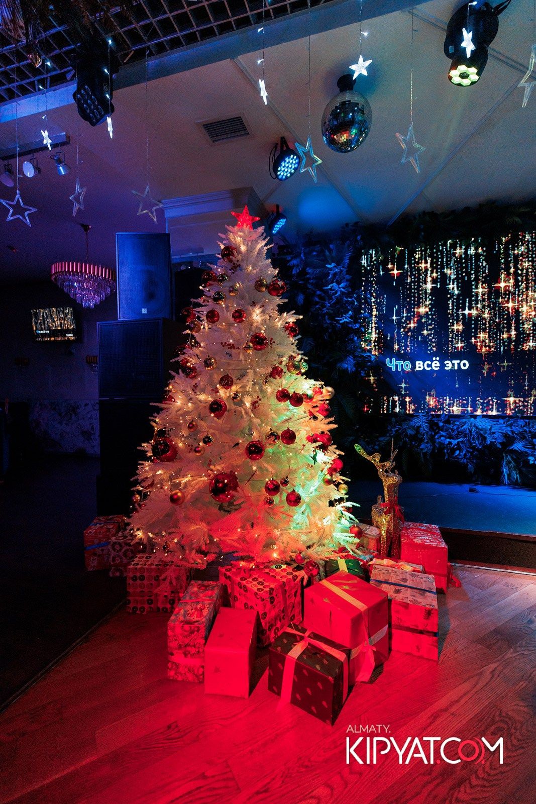 УХО И МЕДВЕДЬ НА КУРМАНГАЗЫ. КИПЯТКОМ АЛМАТЫ!