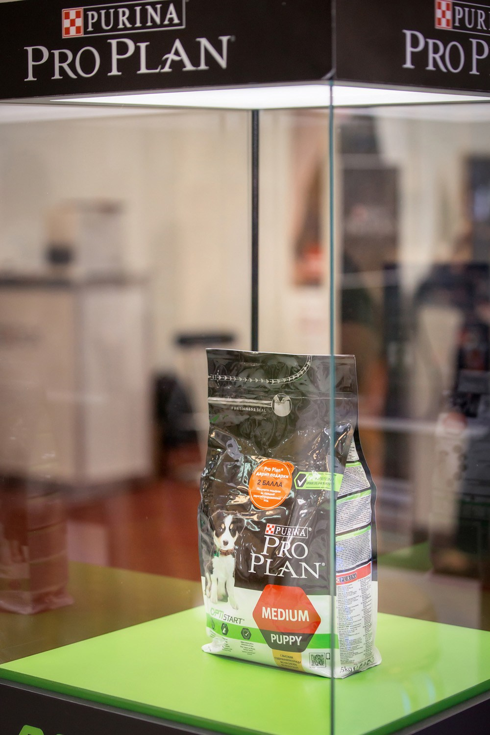 Конференция Purina Partners. Свадебные фотографы Москва, Рязань Ася и Сергей