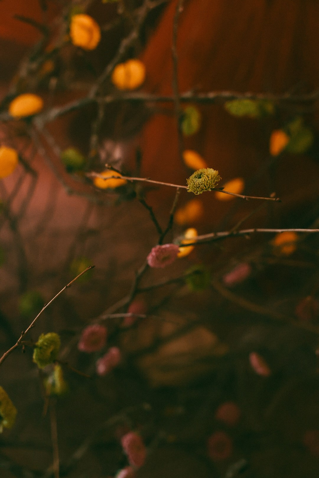 22 zima. Фотограф Нижний Новгород