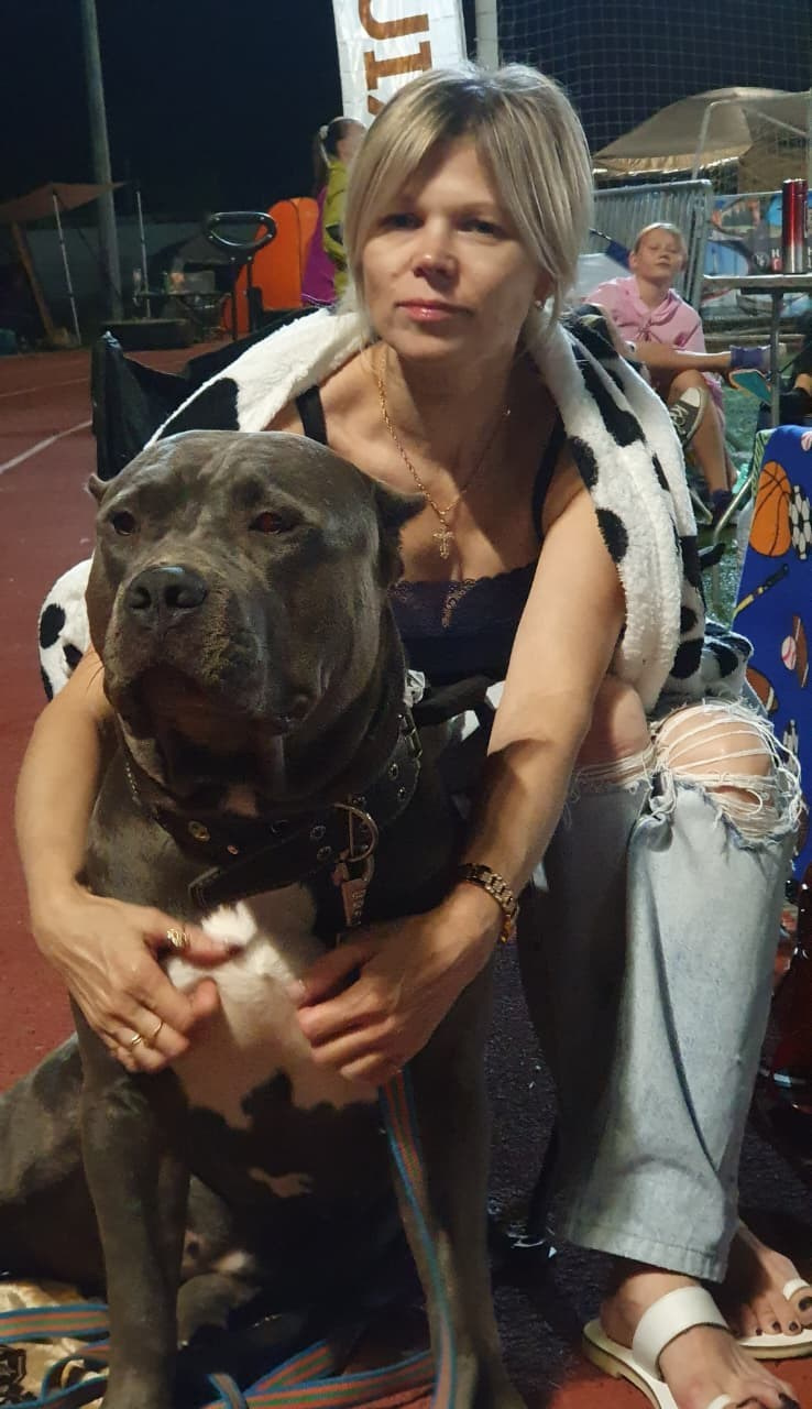 UPB’s Queenie & Zeus. 16.04.24. Американские булли XL в г. Калининград. Питомник Great Bully UNIVERSE