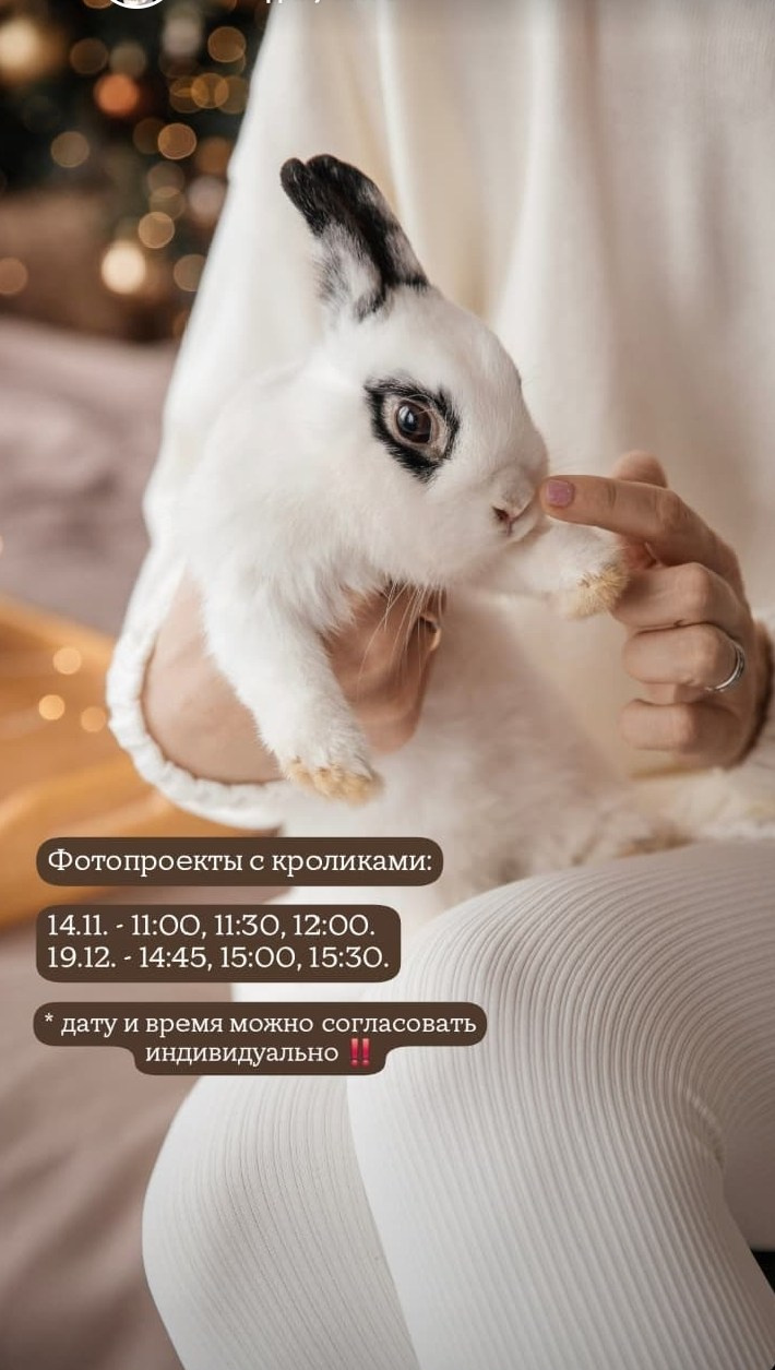 Новыйгод2027 фотоссесия Новосибирск