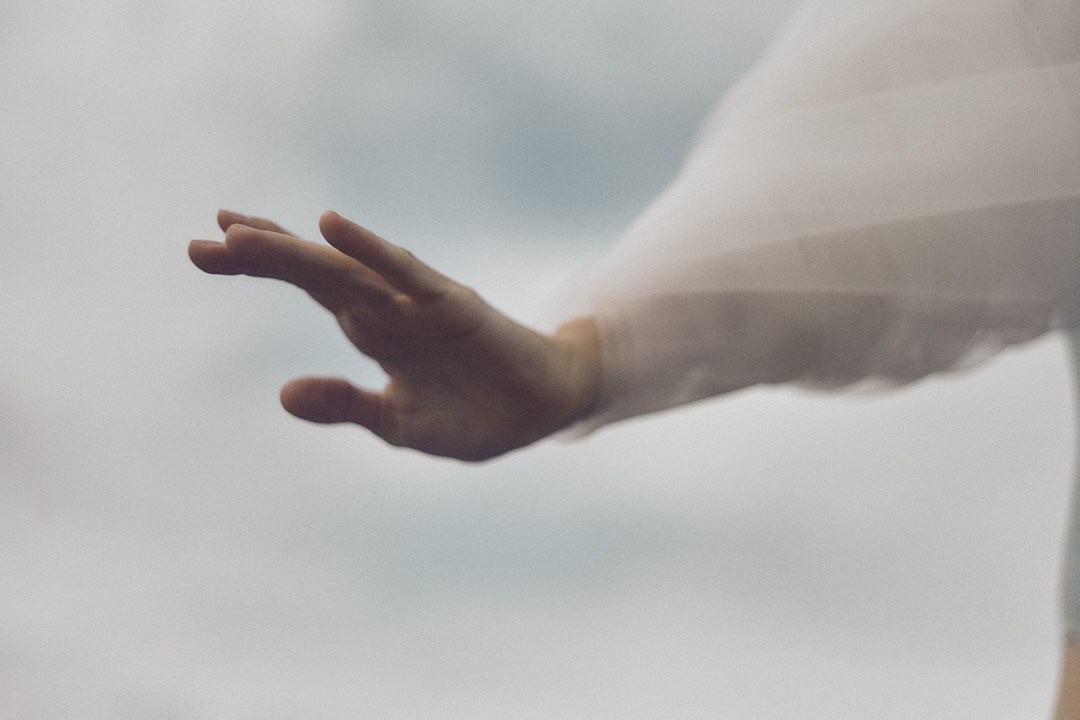 WIND. Виолетта Скрипка