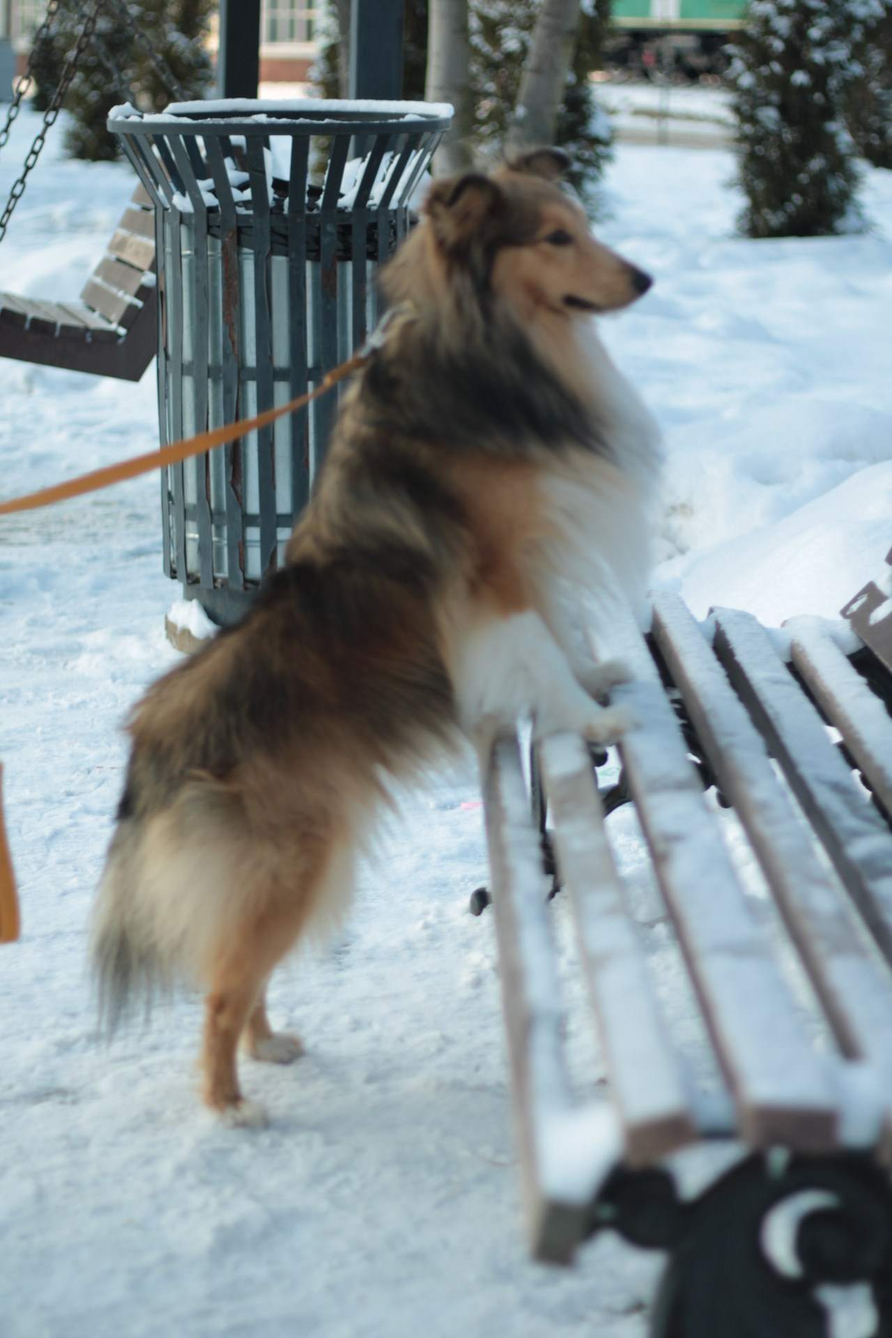 Семья Поповых. Катя Попова|ЛайфСтайл фотограф